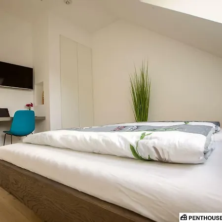 Penthouse Am Sonnenhang Mit Exklusiver Ausstattung 아파트 슈라드밍