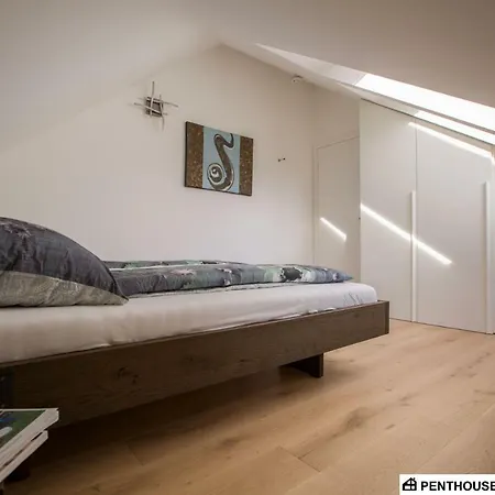 Penthouse Am Sonnenhang Mit Exklusiver Ausstattung Apartment Schladming